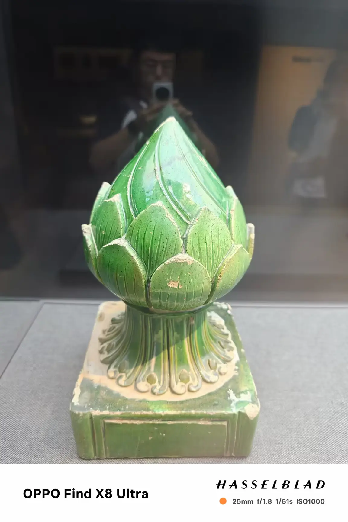 清新的青莲